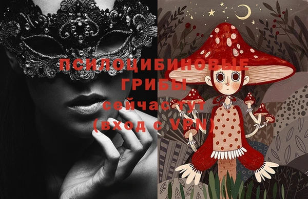 ПСИЛОЦИБИНОВЫЕ ГРИБЫ Абдулино