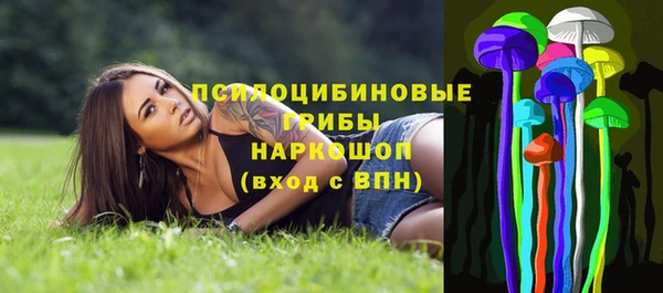 амф Абинск